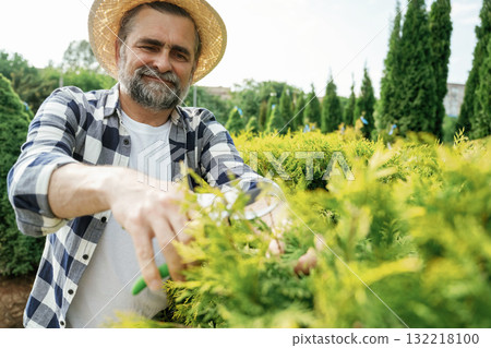 Taking care of bush by using scissors. Senior gardener is at work at daytime 132218100