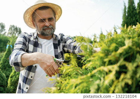 Busy by cutting the bush. Senior gardener is at work at daytime 132218104