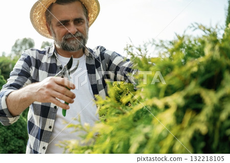 Busy by cutting the bush. Senior gardener is at work at daytime 132218105