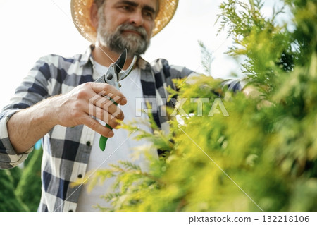 Busy by cutting the bush. Senior gardener is at work at daytime Busy by cutting the bush. Senior gardener is at work at daytime 132218106