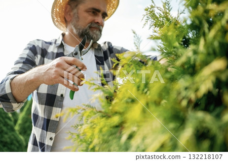 Busy by cutting the bush. Senior gardener is at work at daytime 132218107