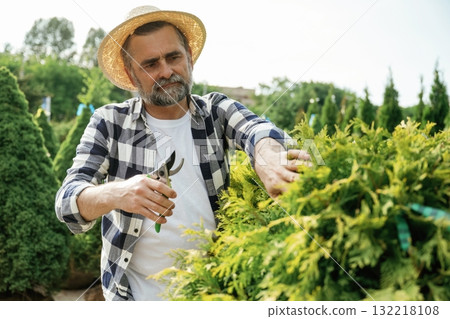 Busy by cutting the bush. Senior gardener is at work at daytime 132218108