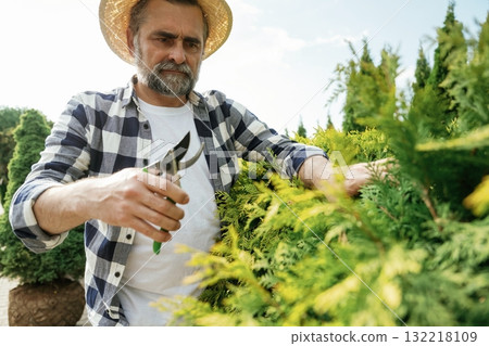 Focused at cutting the bush. Senior gardener is at work at daytime 132218109
