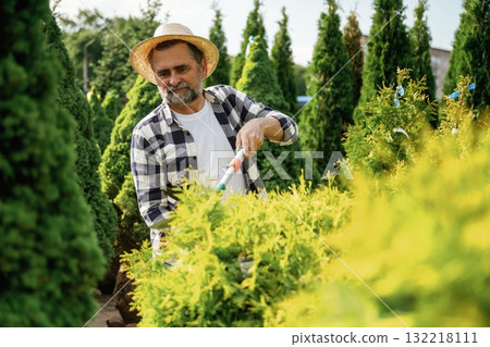 Focused at cutting the bush. Senior gardener is at work at daytime Focused at cutting the bush. Senior gardener is at work at daytime 132218111