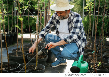 Transplants plants. Senior gardener is at work at daytime 132218145