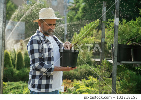 Plant in the pot. Senior gardener is at work at daytime Plant in the pot. Senior gardener is at work at daytime 132218153