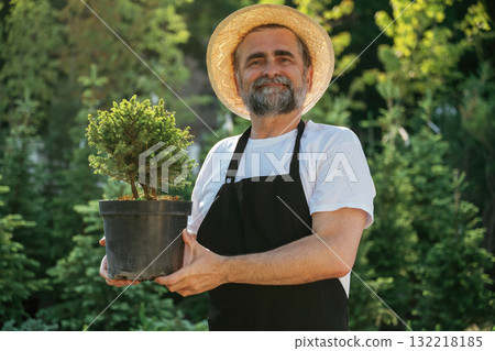 Little plant in the pot. Senior gardener is at work at daytime Little plant in the pot. Senior gardener is at work at daytime 132218185