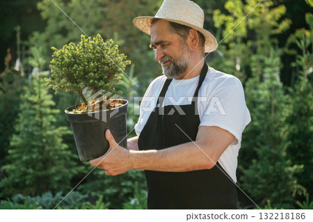Little plant in the pot. Senior gardener is at work at daytime Little plant in the pot. Senior gardener is at work at daytime 132218186