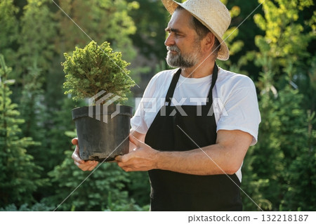 Little plant in the pot. Senior gardener is at work at daytime 132218187