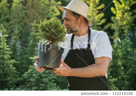 Little plant in the pot. Senior gardener is at work at daytime Little plant in the pot. Senior gardener is at work at daytime 132218188