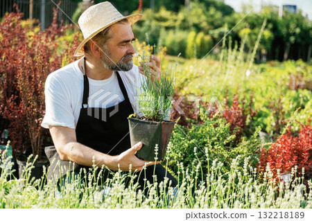 Little plant in the pot. Senior gardener is at work at daytime Little plant in the pot. Senior gardener is at work at daytime 132218189
