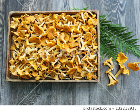 chanterelle, mushroom, porcini 132218933