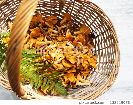 basket, chanterelle, mushroom 132219078