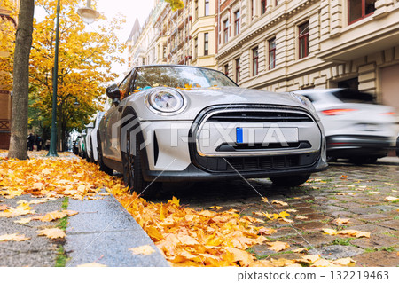 Moody scenic front head light view modern grey car windshield covered golden yellow fallen leaves parked wet city street autumn rainy day. Overcast sky rain road drive. Seasonal weather conditions Moody scenic front head light view modern grey car windshield covered golden yellow fallen leaves parked wet city street autumn rainy day. Overcast sky rain road drive. Seasonal weather conditions 132219463