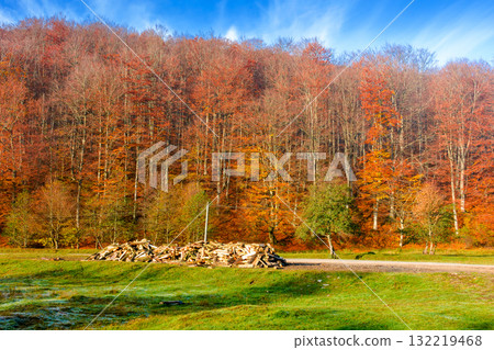 mountain landscape with forest in autumn. travel background with road in fall season. beautiful countryside scenery of ukraine under blue sky. sunny weather. pile of firewood near the path mountain landscape with forest in autumn. travel background with road in fall season. beautiful countryside scenery of ukraine under blue sky. sunny weather. pile of firewood near the path 132219468