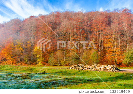 mountain landscape with forest in autumn. travel background with road in fall season. beautiful countryside scenery of ukraine under blue sky. sunny weather. pile of firewood near the path mountain landscape with forest in autumn. travel background with road in fall season. beautiful countryside scenery of ukraine under blue sky. sunny weather. pile of firewood near the path 132219469