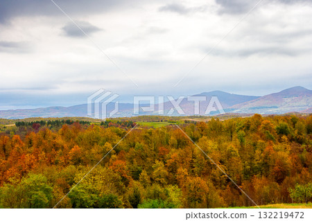 autumn landscape in mountains with village in the valley. overcast morning sky over carpathian countryside in fall season. beautiful location with colorful forest autumn landscape in mountains with village in the valley. overcast morning sky over carpathian countryside in fall season. beautiful location with colorful forest 132219472