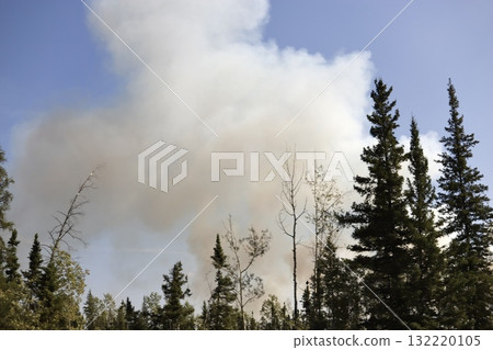 Thick Smoke Rising from a Forest Fire in Canada 132220105