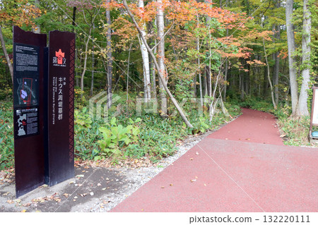 九蘇堤古墓群 九蘇堤古墓群 132220111