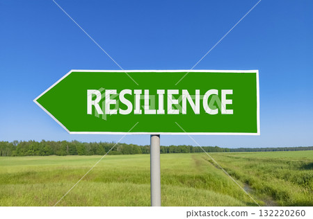 Resilience symbol. Concept word Resilience on beautiful green road sign. Beautiful blue sky green grass and forest peaceful nature background. Business resilience concept. Copy space. 132220260