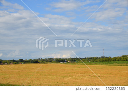 Rural outback in August - a village surrounded by fields, Russia, Central Black Earth Region Rural outback in August - a village surrounded by fields, Russia, Central Black Earth Region 132220863