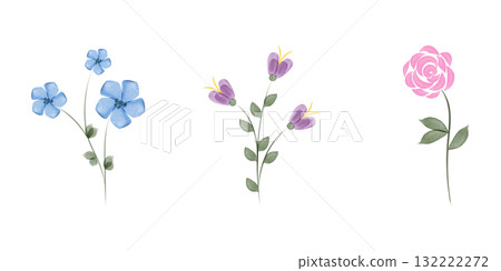 Three illustrations showcase watercolor flowers. There a blue flower, a purple flower, and a pink rose. All the flowers have green stems and leaves, and are against a plain white backdrop. 132222272