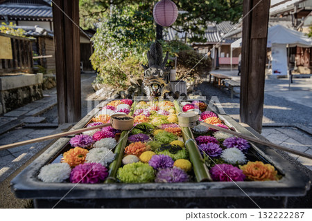 鮮花漂浮在水上屋 132222287