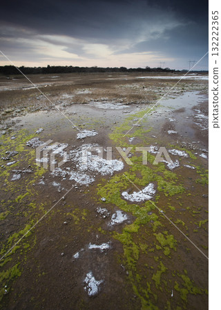 Saltpeter on the floor of a lagoon in a semi desert environment, La Pampa province, Patagonia, Argentina. 132222365