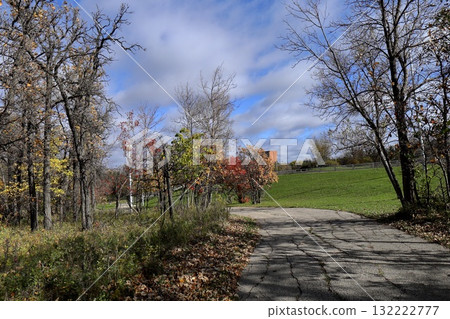 Autumn park trail with colorful trees Autumn park trail with colorful trees 132222777