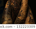 Intertwining Pachira 132223309