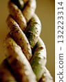 Intertwining Pachira 132223314