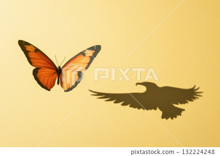 Butterfly and Shadow of Eagle on Yellow Background Representing Freedom and Transformation 132224248
