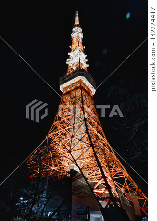Tokyo Tower Illuminated at Night Tokyo Tower Illuminated at Night 132224417