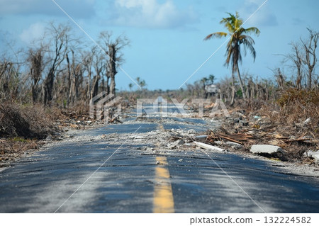 A road with a palm tree in the background 132224582