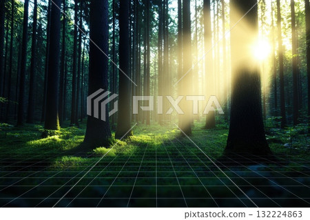 Sunlight Streams Through Lush Forest Creating Ethereal Atmosphere with Grid Overlay Sunlight Streams Through Lush Forest Creating Ethereal Atmosphere with Grid Overlay 132224863