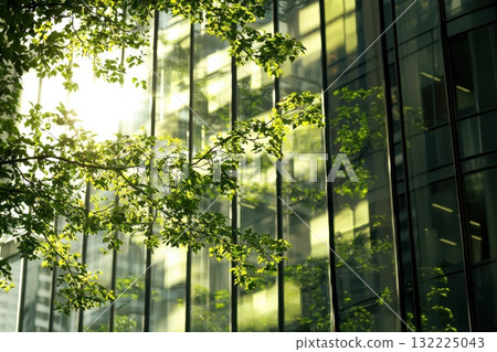 Bright Sunlight Reflecting on Modern Glass Building Surrounded by Fresh Green Leaves in Urban Environment During a Beautiful Day Bright Sunlight Reflecting on Modern Glass Building Surrounded by Fresh Green Leaves in Urban Environment During a Beautiful Day 132225043
