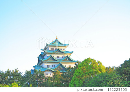 愛知縣名古屋市名古屋城的春天風景 愛知縣名古屋市名古屋城的春天風景 132225503