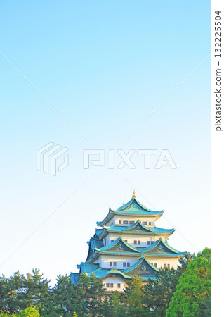 愛知縣名古屋市名古屋城的春天風景 132225504