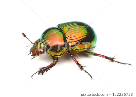 Ogensenchikogane 132226738