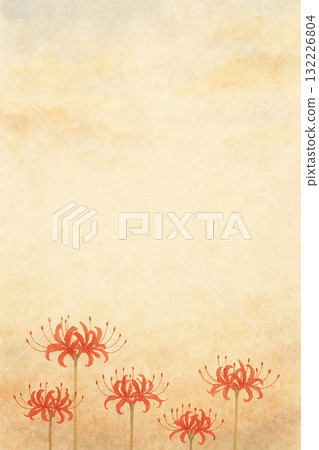 石蒜花系列：石蒜花在秋日的天空閃耀 132226804