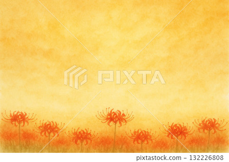 Cluster amaryllis series: Cluster amaryllis blooming on a golden background 132226808