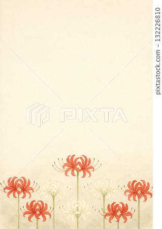 Cluster amaryllis series: Red and white cluster amaryllis 132226810