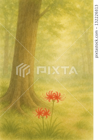 Cluster amaryllis series: Cluster amaryllis in the sunlight filtering through the leaves 132226813