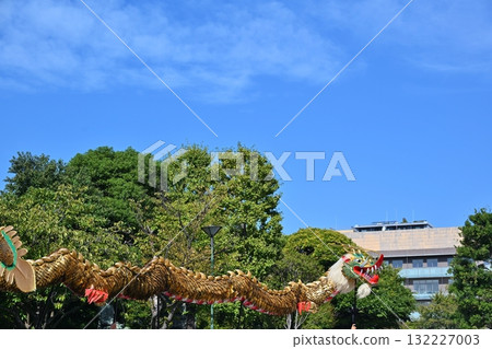 東京淺草寺金龍舞 東京淺草寺金龍舞 132227003