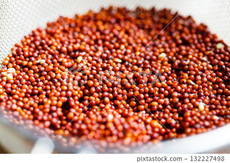 Broccoli sprouting seeds Broccoli sprouting seeds 132227498