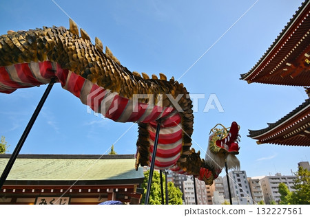 Golden Dragon Dance at Sensoji Temple, Tokyo Golden Dragon Dance at Sensoji Temple, Tokyo 132227561
