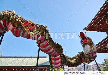 東京淺草寺金龍舞 東京淺草寺金龍舞 132227562