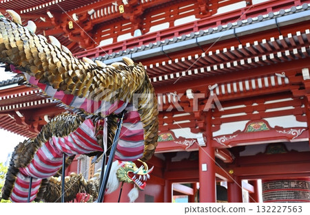 Golden Dragon Dance at Sensoji Temple, Tokyo 132227563