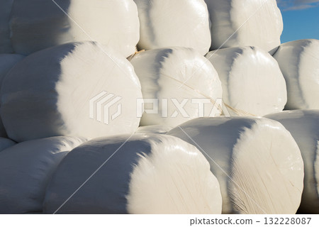 Bale of hay wrapped in plastic foil 132228087