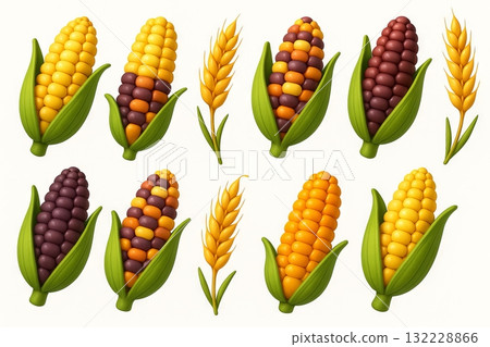 Illustration of corn and wheat with vibrant colors and detailed composition for agricultural and botanical concepts, SET 132228866